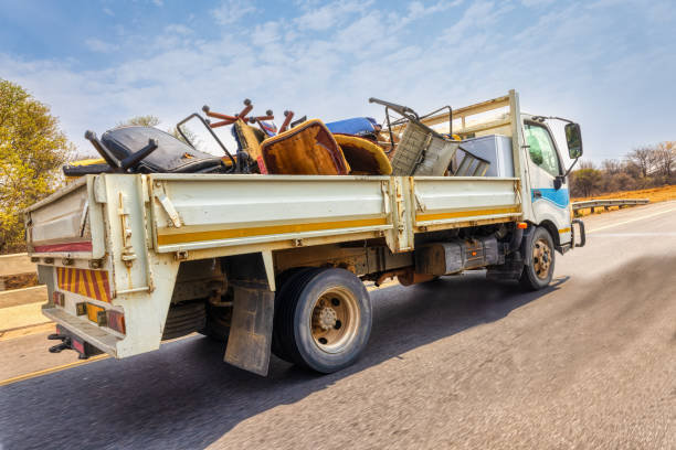 Yard Cleanup Services in Raton, NM